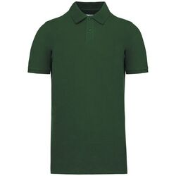 Polo Bio 180 K2025 Limoges