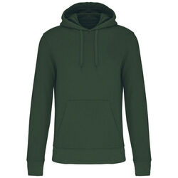 Sweat-shirt &agrave; capuche K4027 Limoges