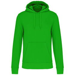 Sweat-shirt &agrave; capuche K4027 Limoges