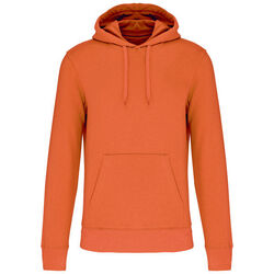 Sweat-shirt &agrave; capuche K4027 Limoges