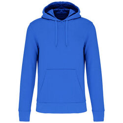 Sweat-shirt &agrave; capuche K4027 Limoges