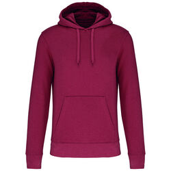 Sweat-shirt &agrave; capuche K4027 Limoges