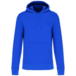 Sweat-shirt &agrave; capuche K4027 Limoges