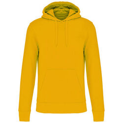 Sweat-shirt &agrave; capuche K4027 Limoges
